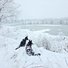 Two black and white dogs sitting in deep snow overlooking a partially frozen river surrounded by snow-covered trees and bushes